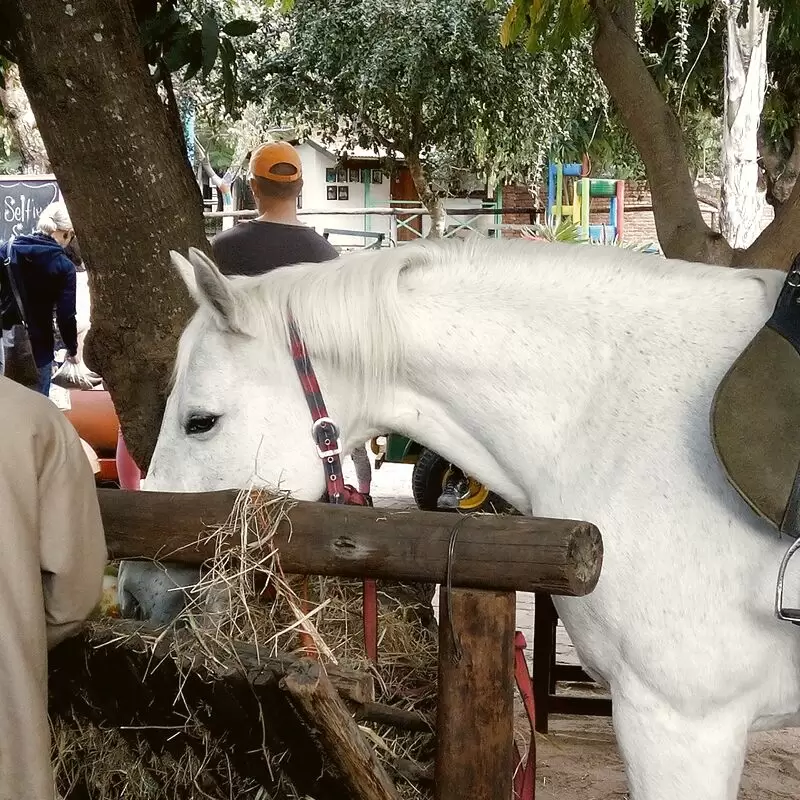 Mhangela Tea Garden and Animal Touch Farm