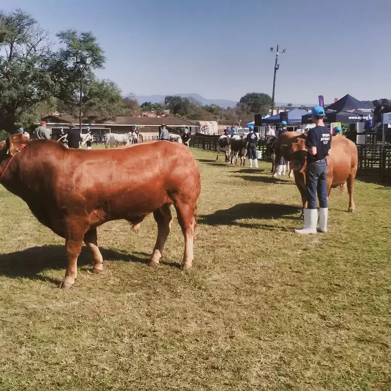 Tzaneen Showground