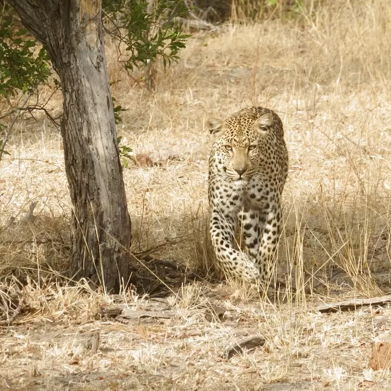 Sabi Sand Nature Reserve