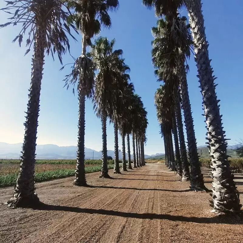 Van Loveren Family Vineyards