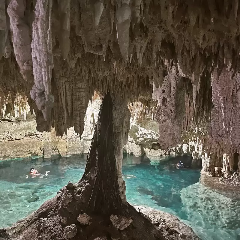 Cenotes Sac Actún