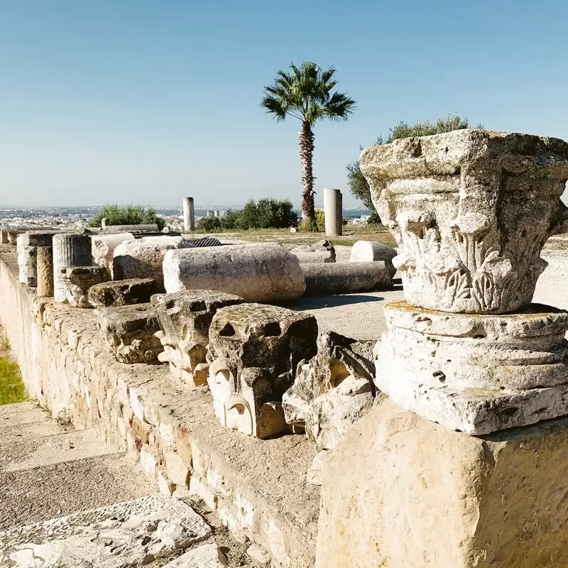 Carthage National Museum