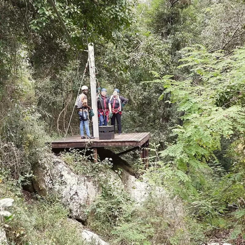 Skyway Trails