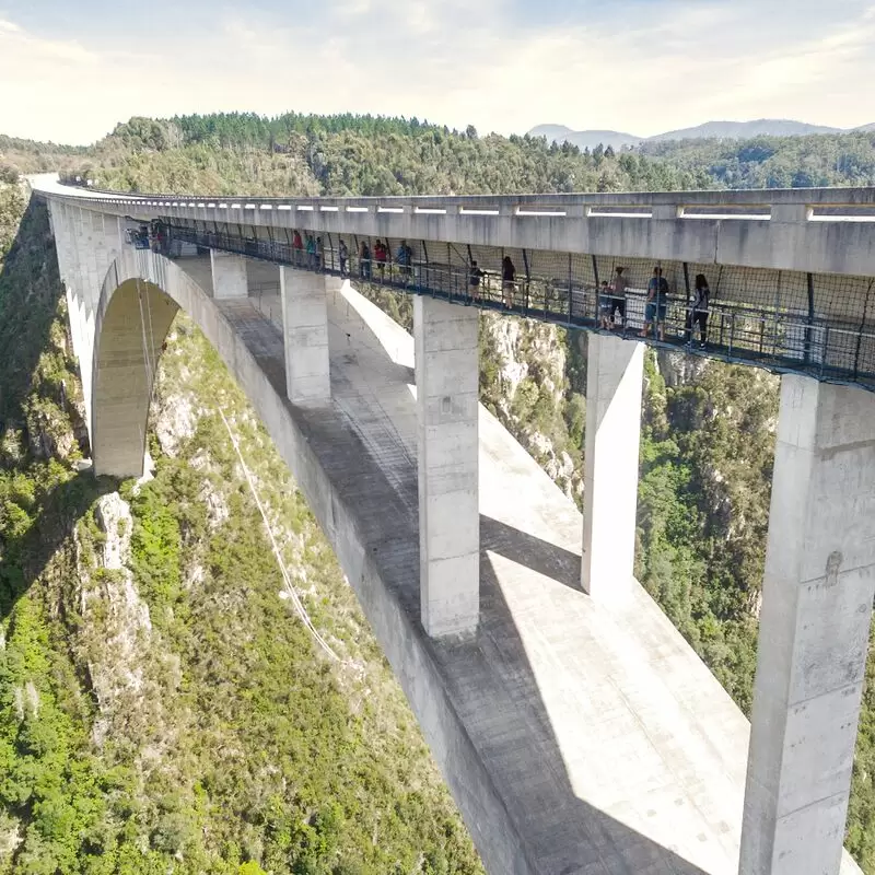 Face Adrenalin Bloukrans Bungee