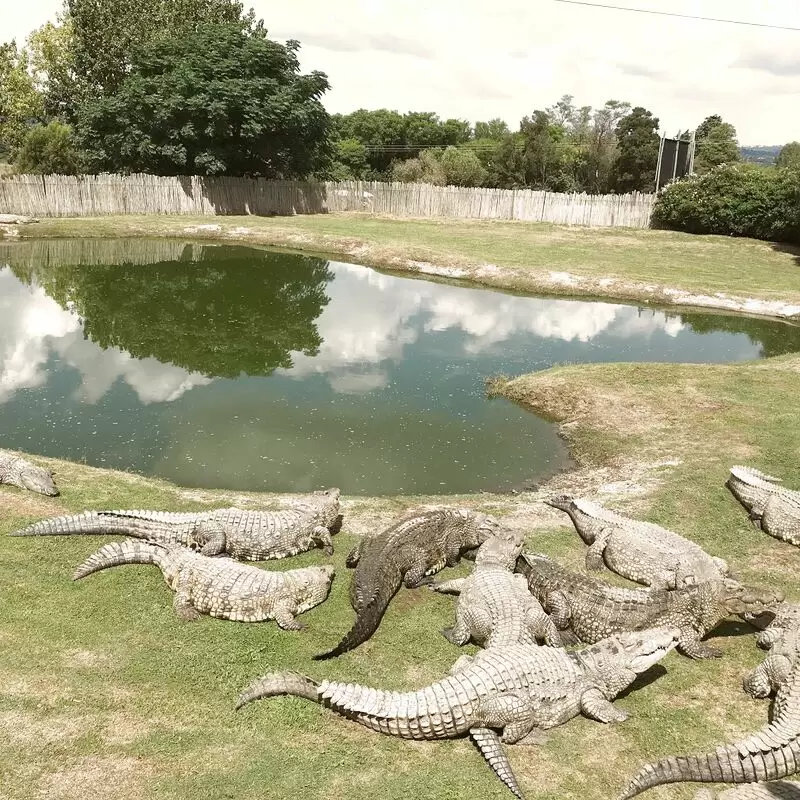 Croc City Crocodile & Reptile Park