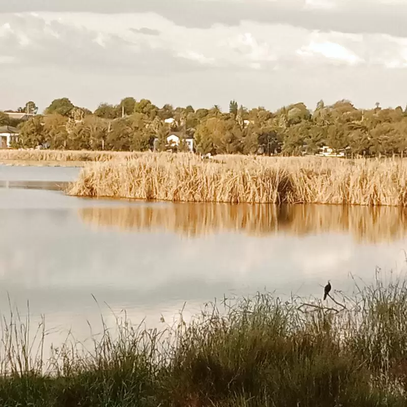 Korsman Bird Sanctuary