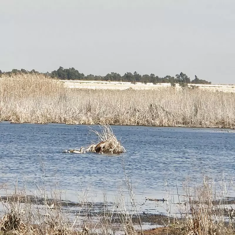 Marievale Bird Sanctuary