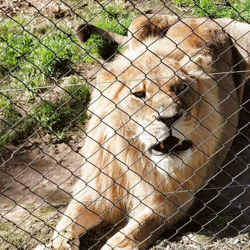 Jukani Wildlife Sanctuary