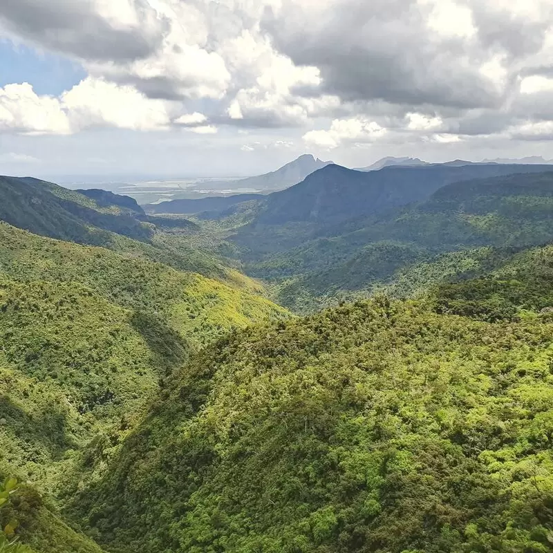 Black River Gorges National Park