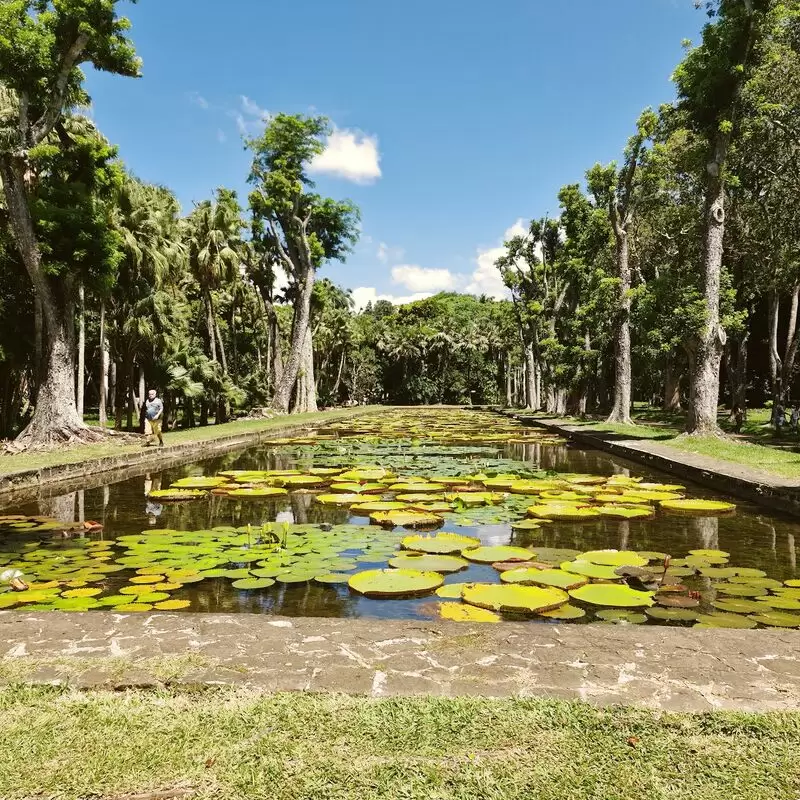 Sir Seewoosagur Ramgoolam Botanical Garden