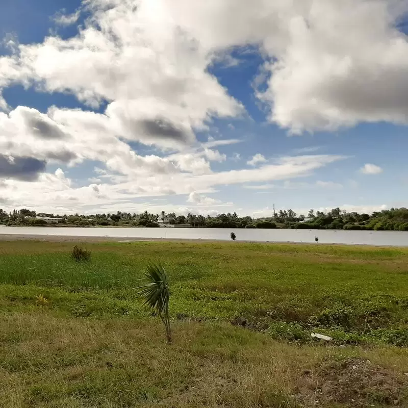 Rivulet Terre Rouge Estuary Bird Sanctuary