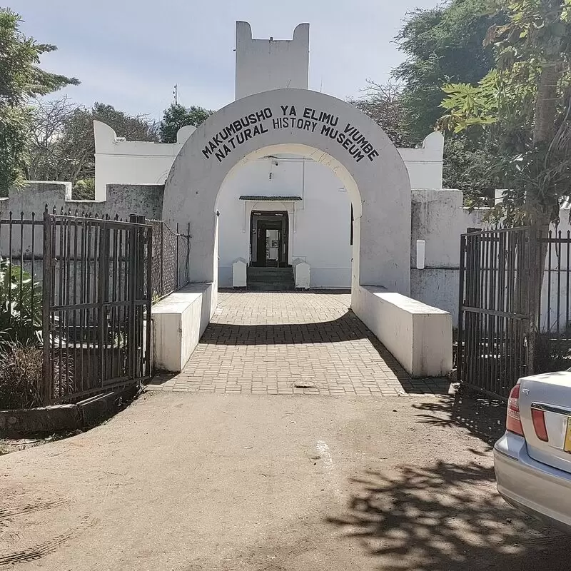 Arusha National Natural History Museum