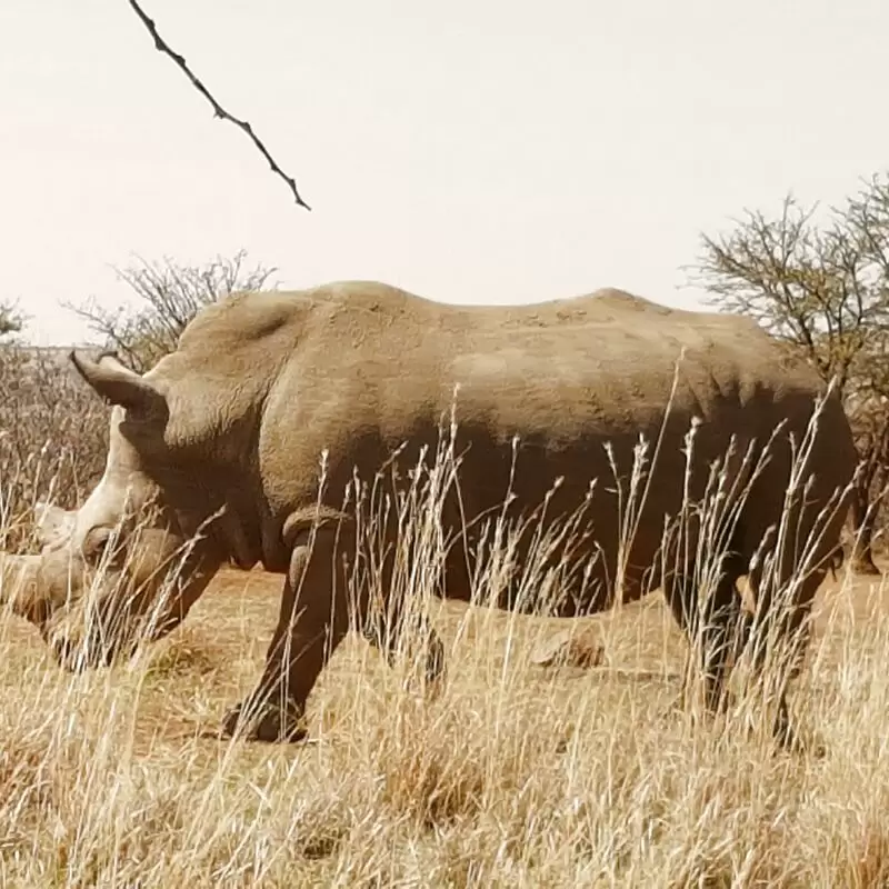 Faan Meintjes Nature Reserve