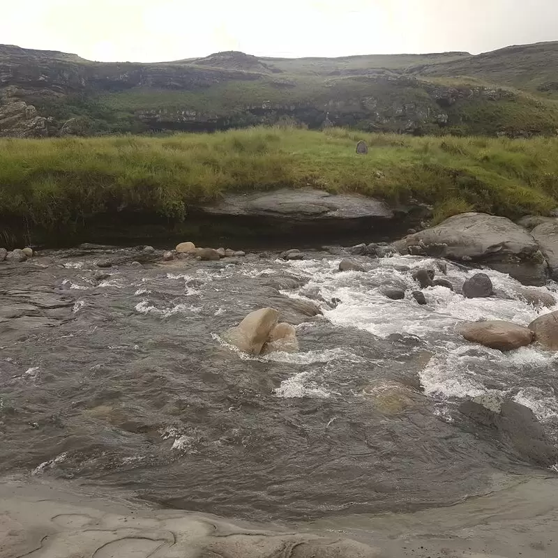 Hippo Pools