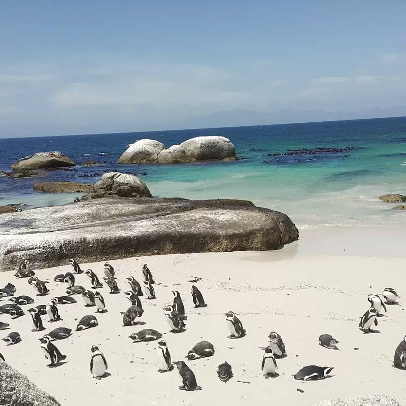 Boulders Beach