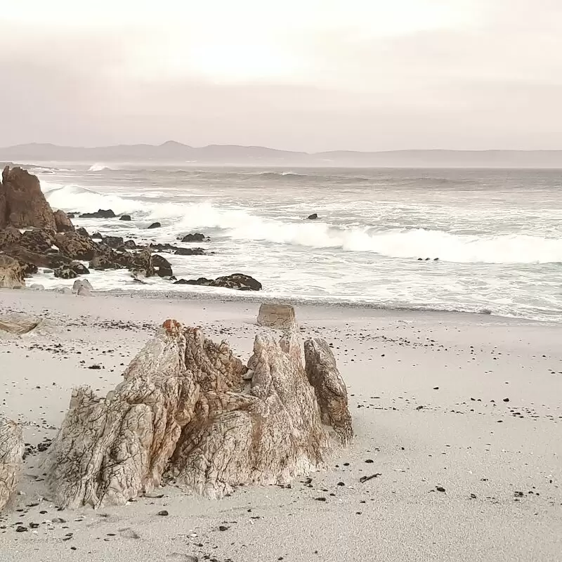 Skulpiesbaai