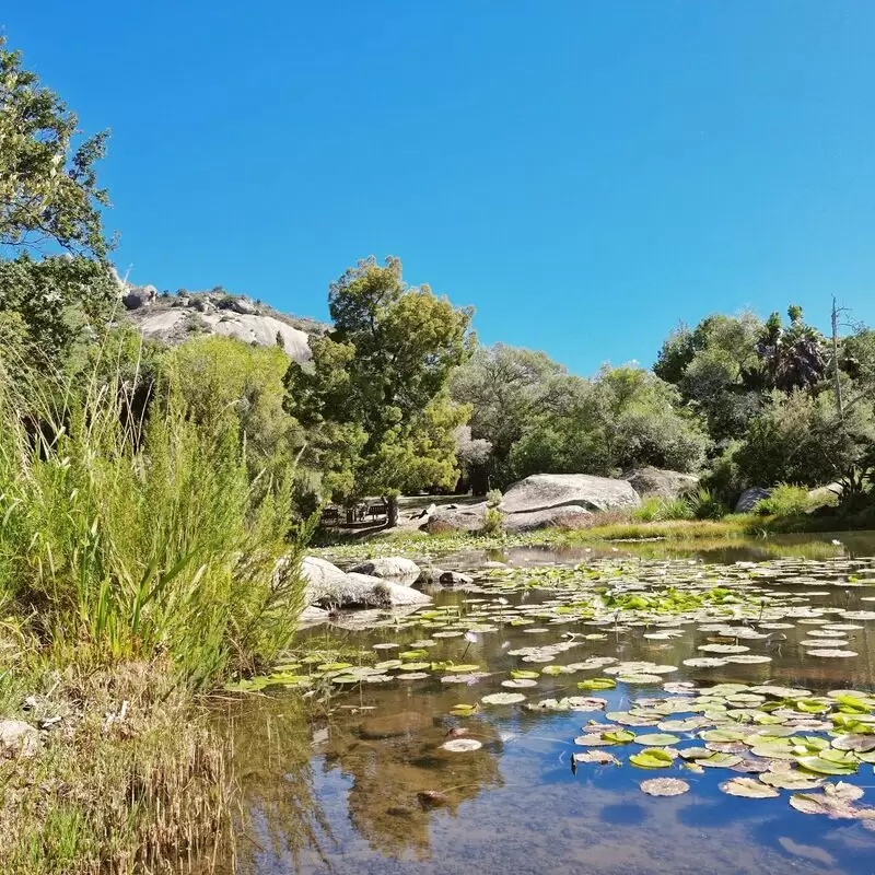 Meulwater Botanical Garden