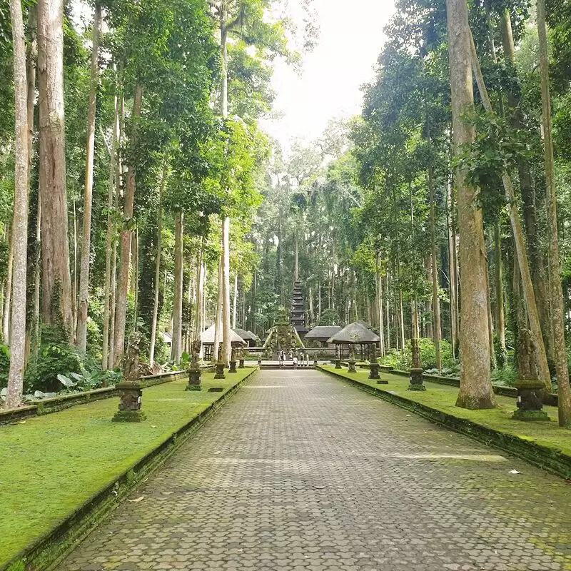 Sangeh Monkey Forest