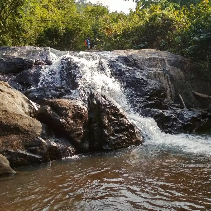 Garbhanga Forest Reserve