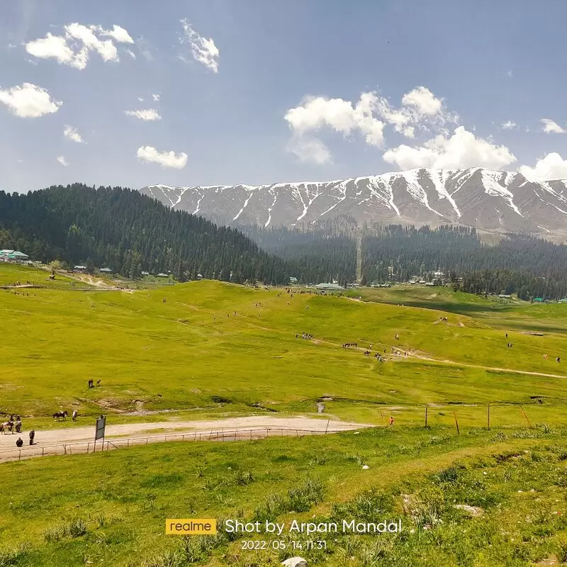 Gulmarg Wildlife Sanctuary