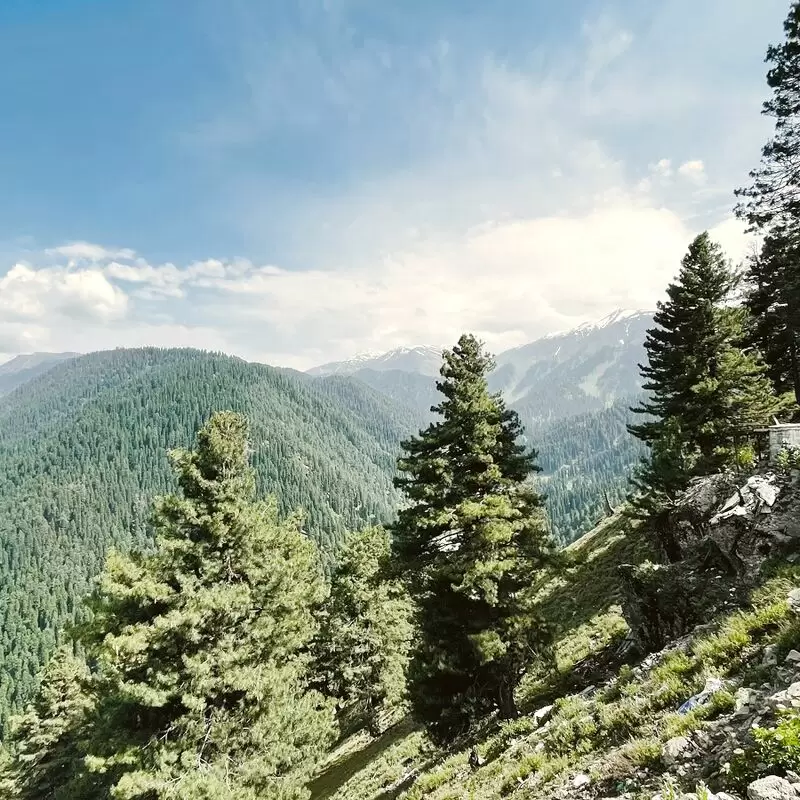 Gulmarg viewpoint