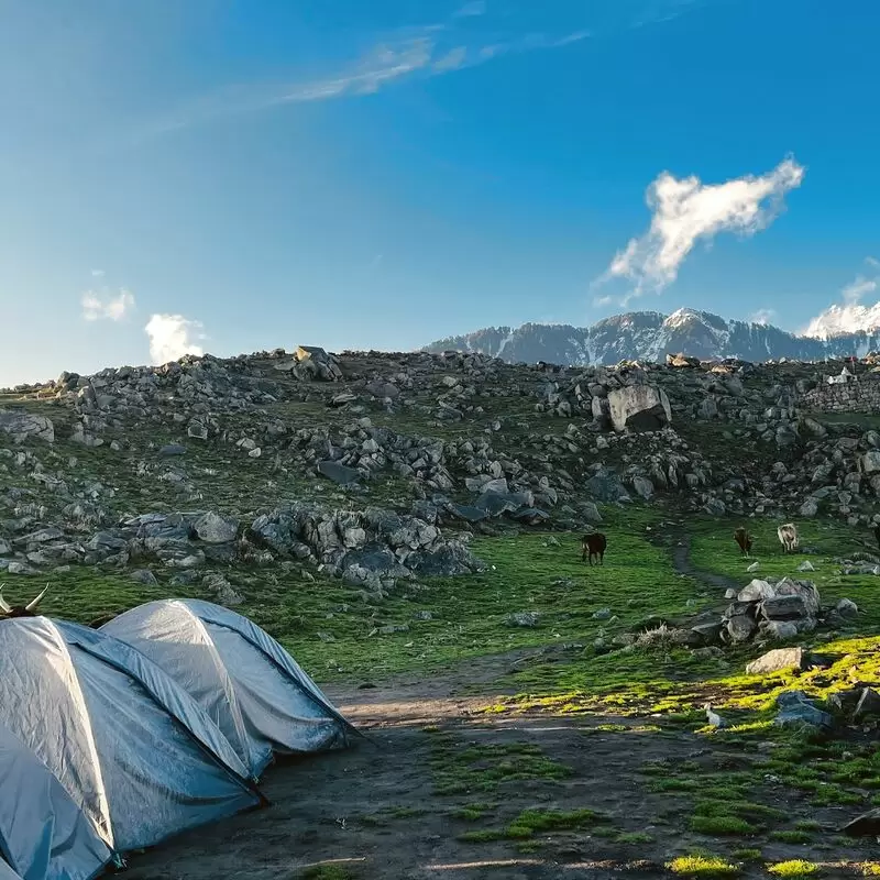 Hill Hikers Adventures of Himachal Triund Trek Kareri Lake Trek Trekking in Mcleodganj )