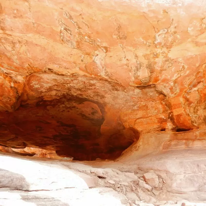 Bhimbetka rock shelters