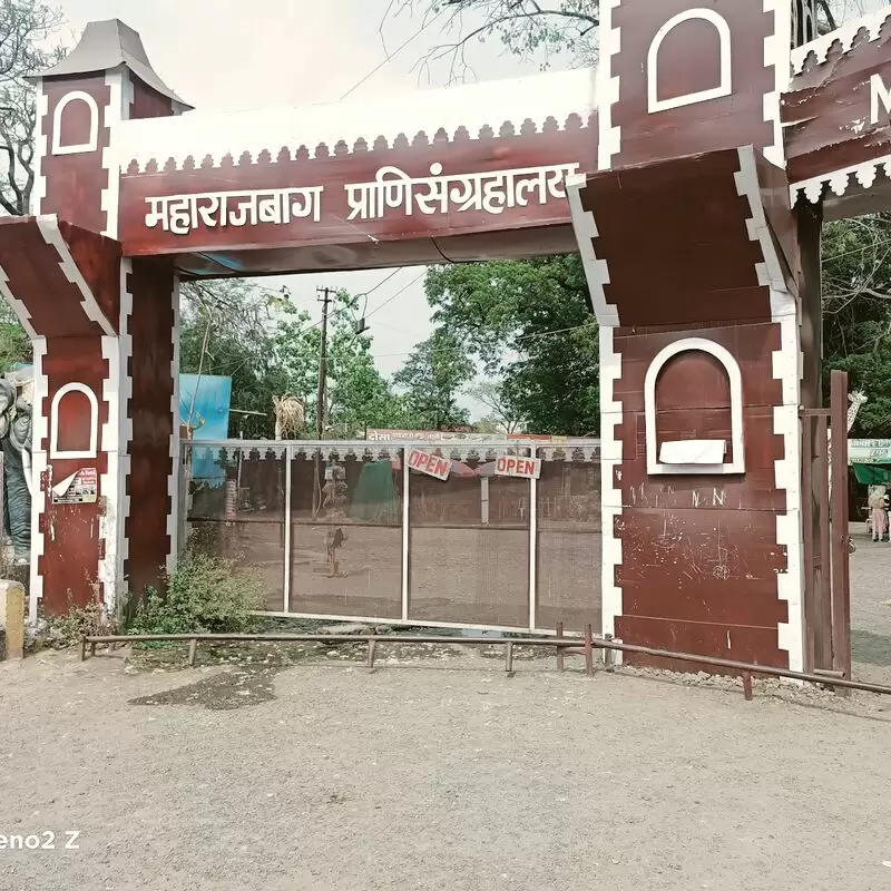 Maharaj Bagh Zoo