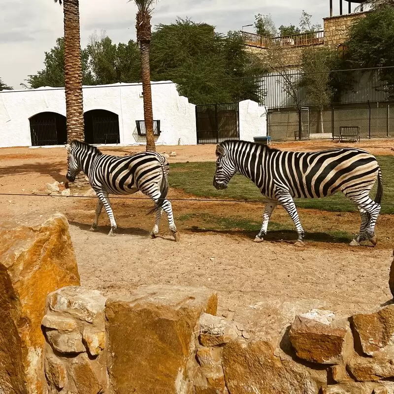 Riyadh Zoo