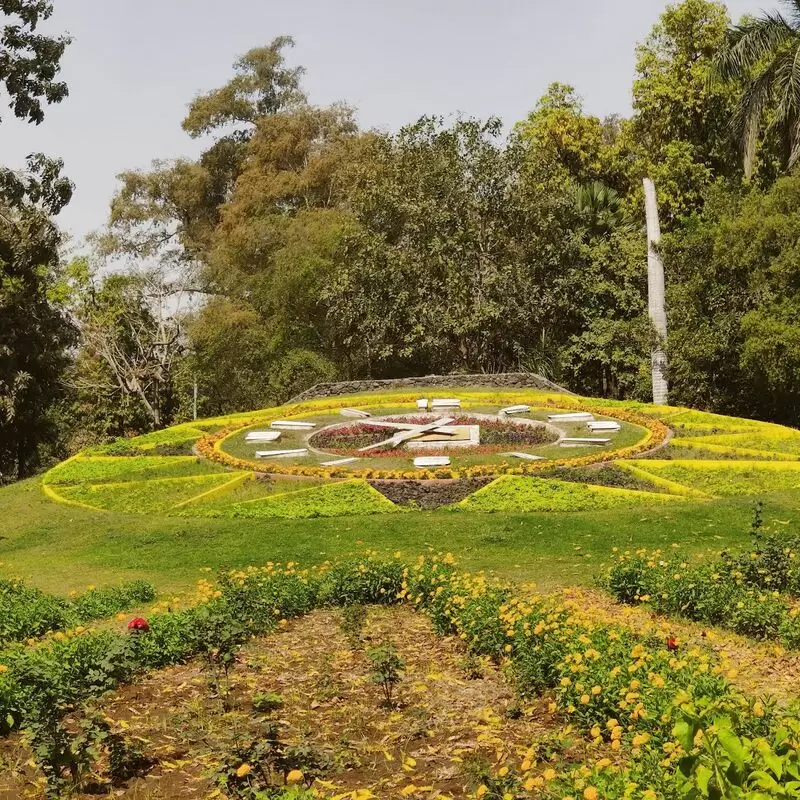 Sayaji Baug Zoo