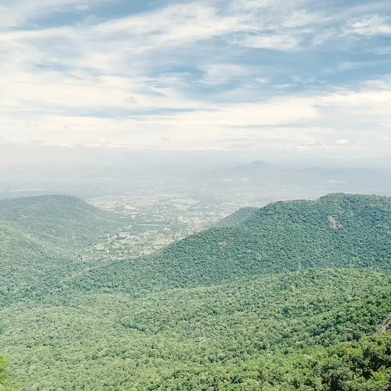 Karadiyoor View Point