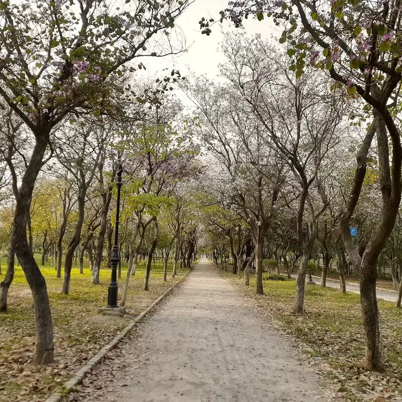 Kachnar Park