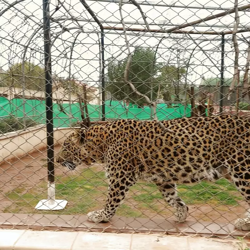 Bahria Enclave Zoo