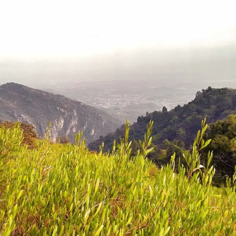 Margalla Hills National Park