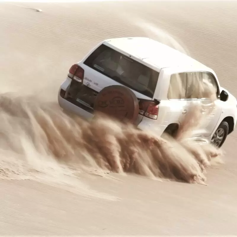 Doha Qatar Desert Safari Falcon Tours)