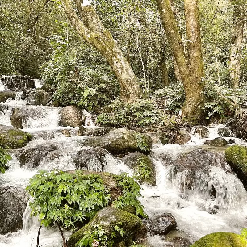 Shivapuri Nagarjun National Park