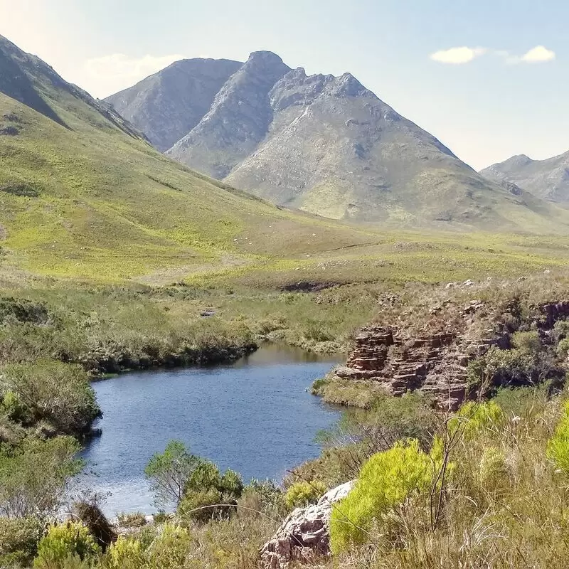 Kogelberg Nature Reserve