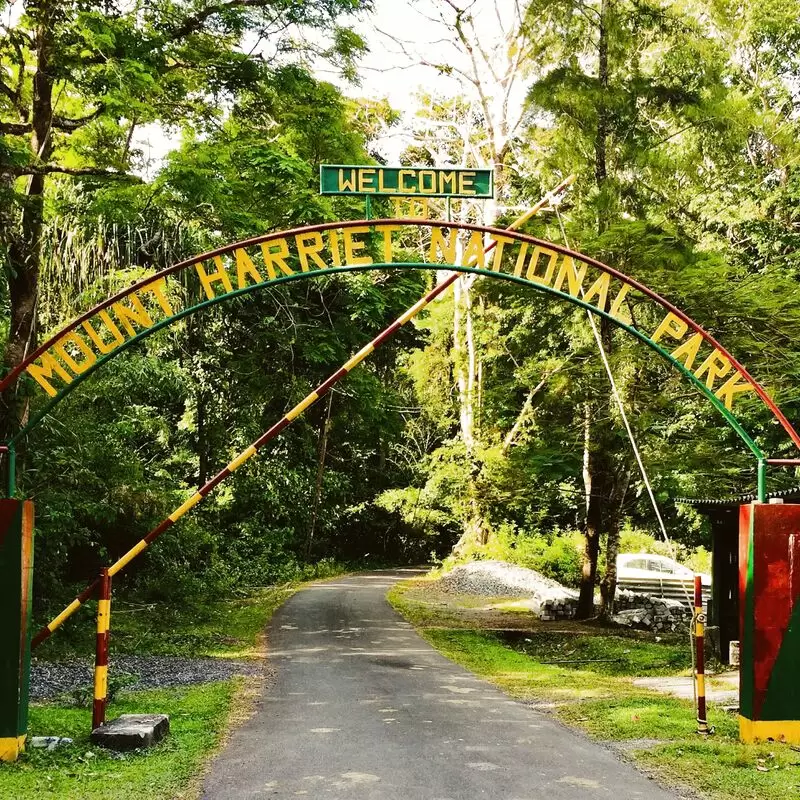 Mount Manipur National Park