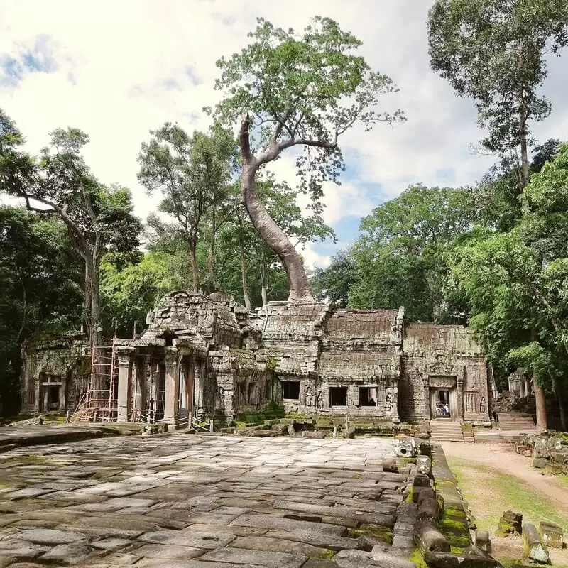 Ta Prohm Temple