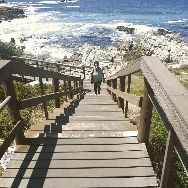 Hermanus Cliff Path Biodiversity Walk