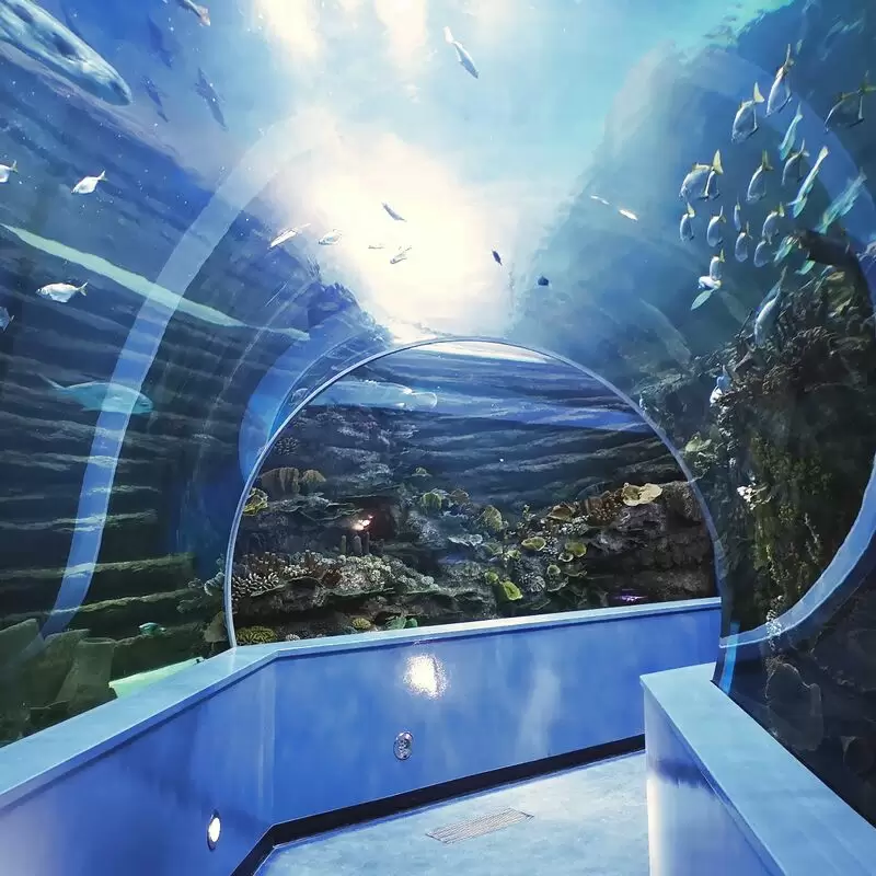 Sharjah Aquarium