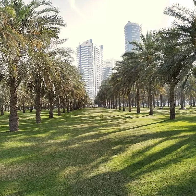 AlNakheel Oasis