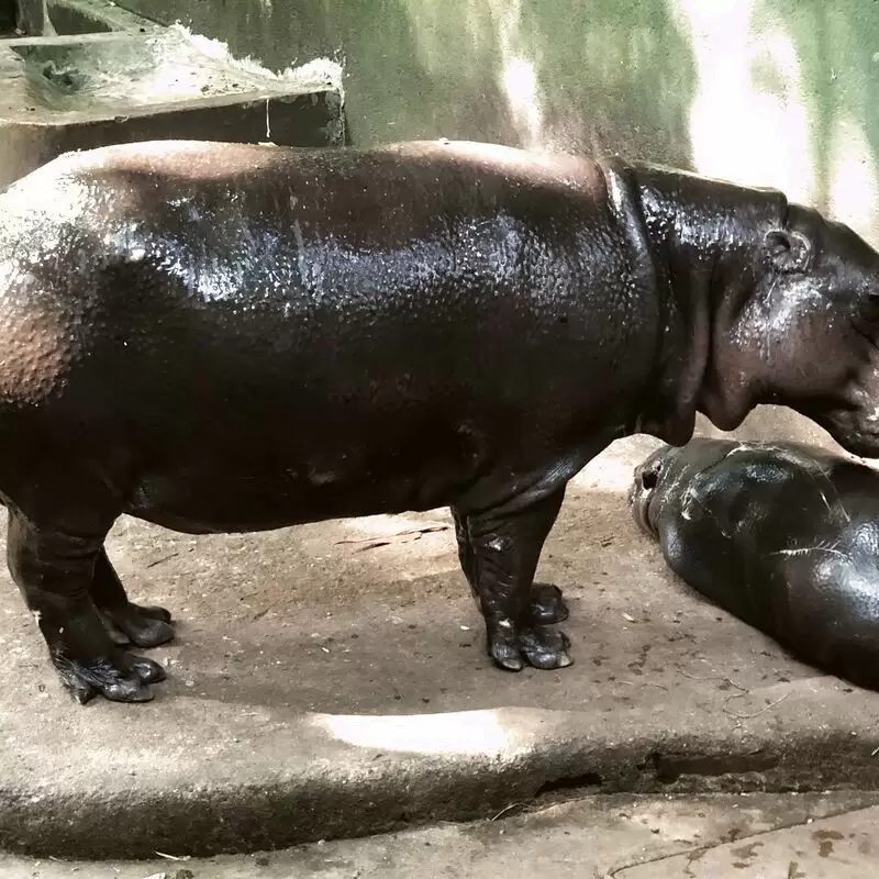 Dehiwala Zoological Garden