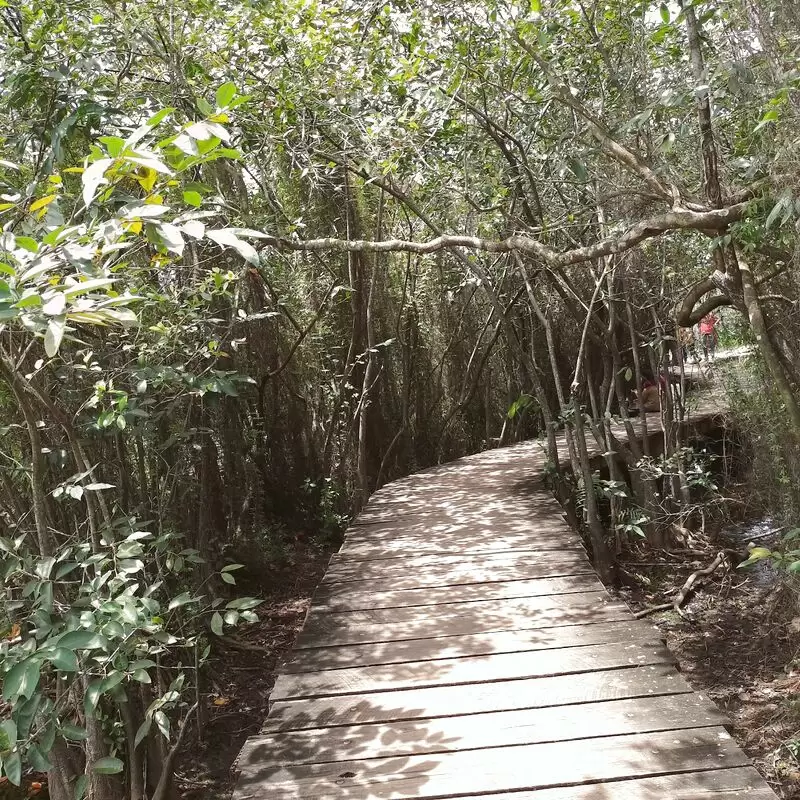 Beddagana Wetland Park