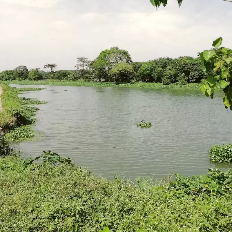 Attidiya Bird Sanctuary