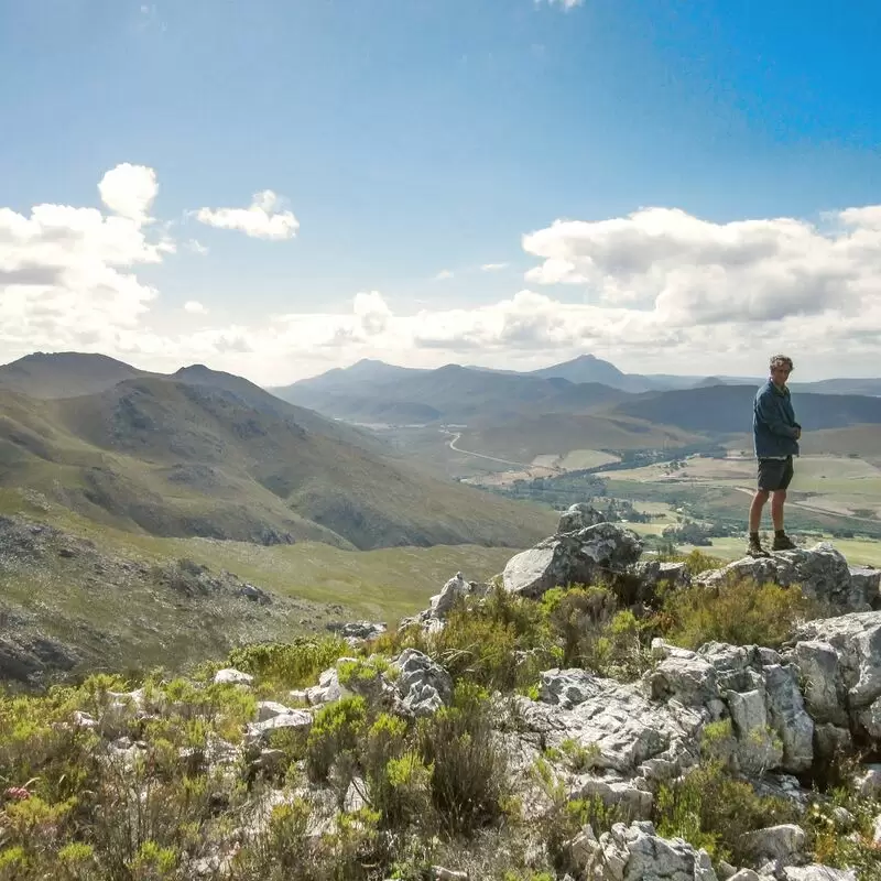 Phillipskop Mountain Reserve