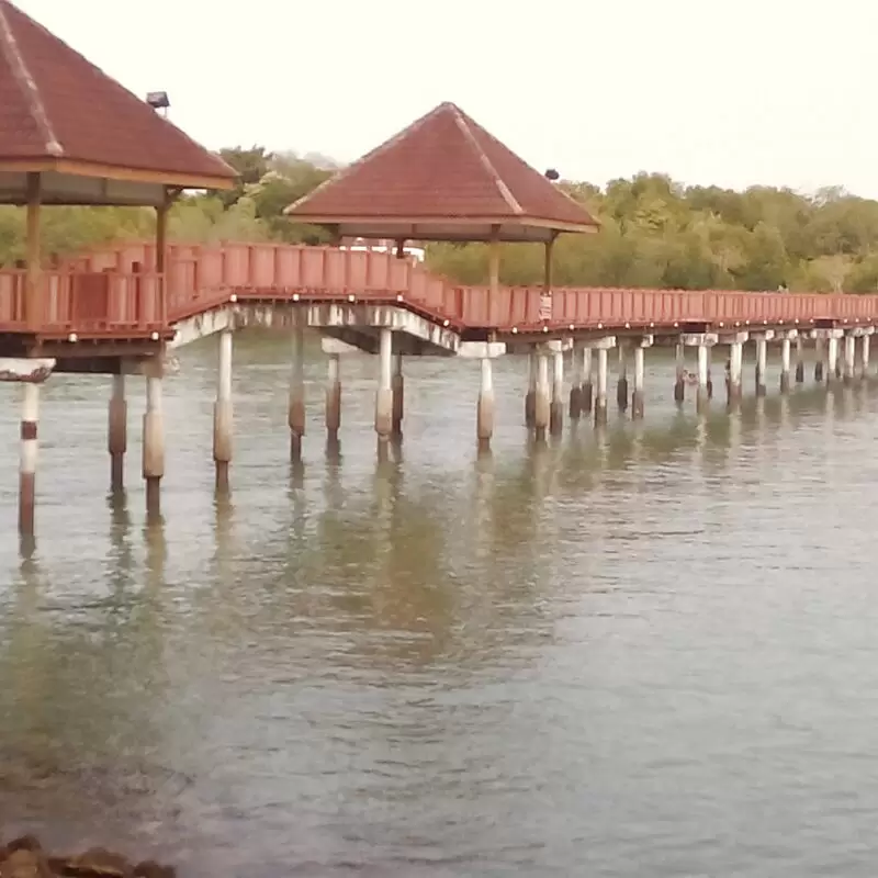 Pulau Burong