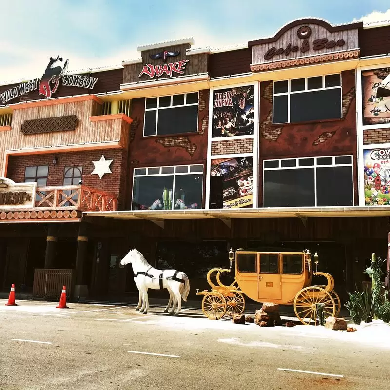 Wild West Cowboy InDoor Theme Park