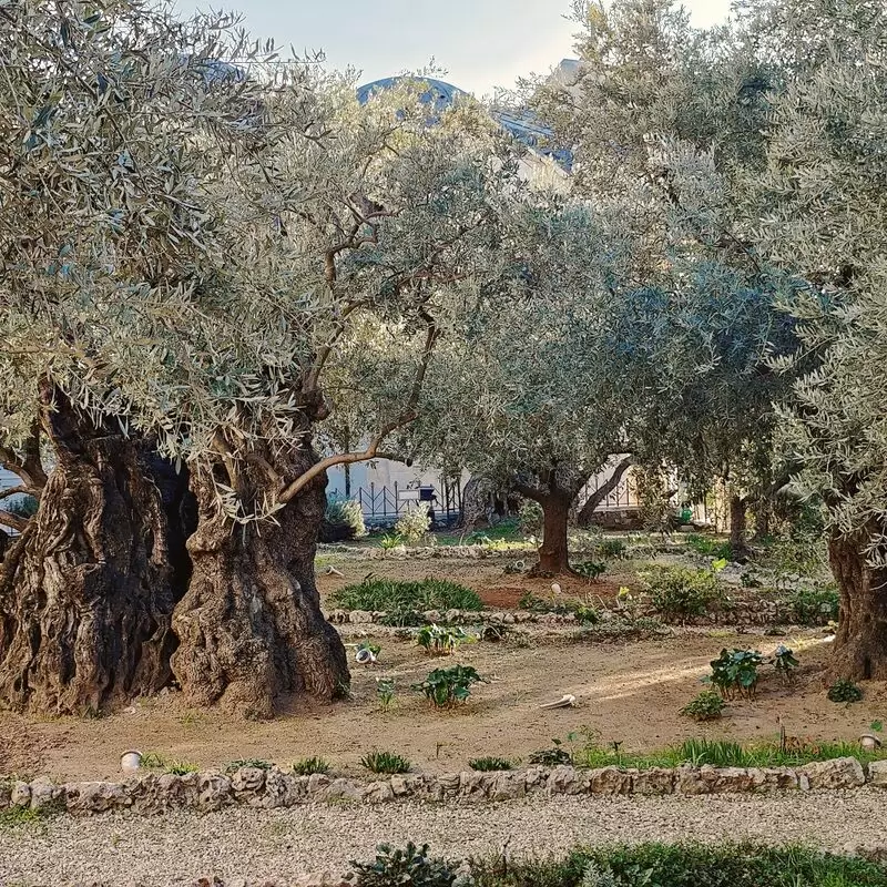 Gethsemane