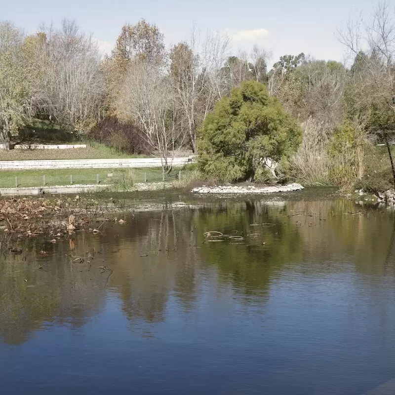 The Jerusalem Botanical Gardens